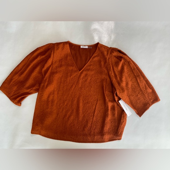 NEW Plus Calvin Klein V-Neck Pull on ¾ Sleeve Blouse Top Terra $109 - Picture 3 of 8